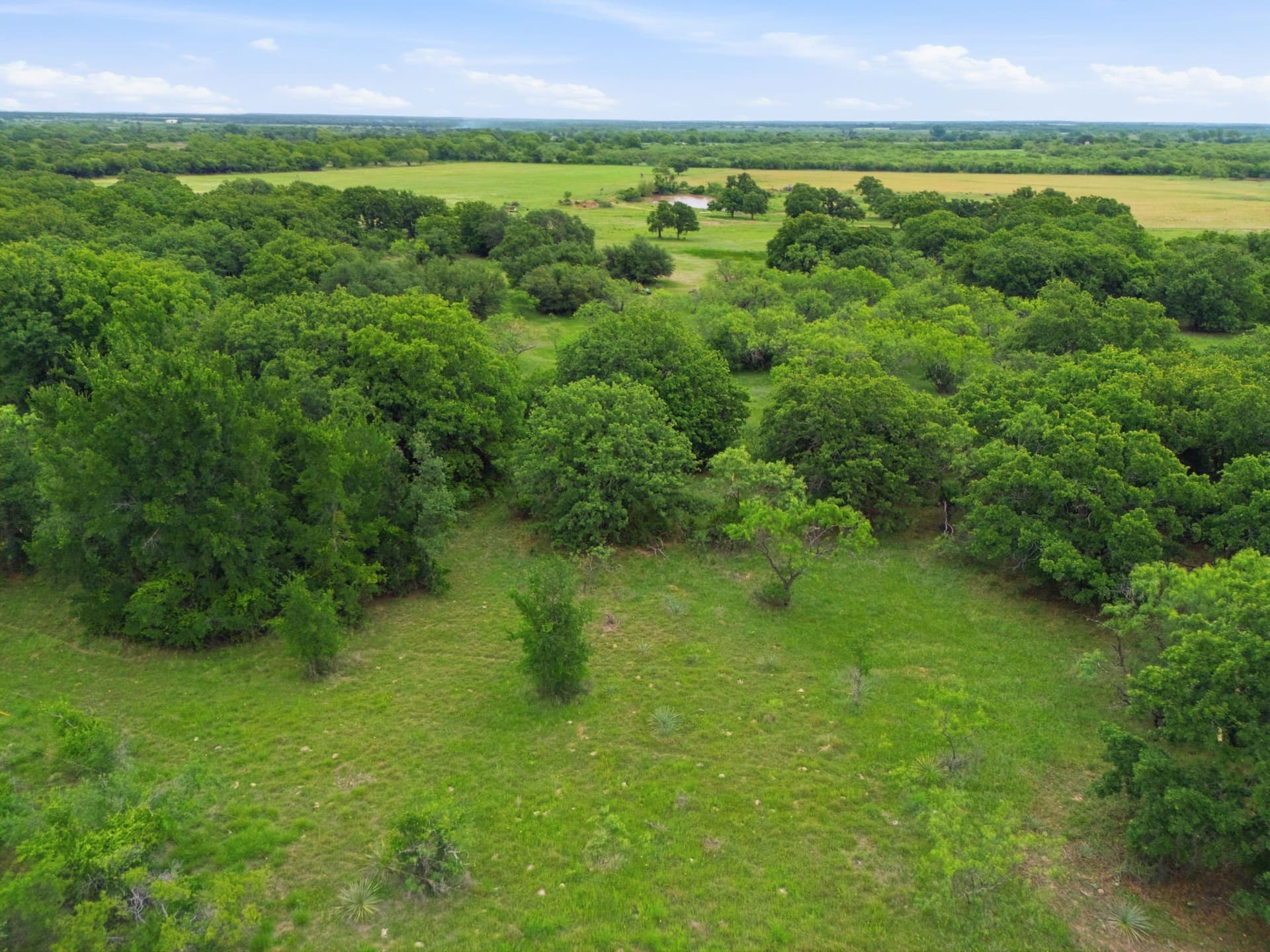 95 acres in Eastland County - photo 21