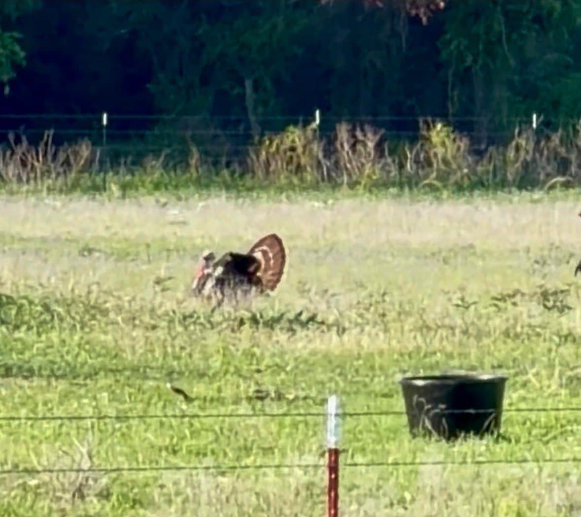 95 acres in Eastland County - photo 36