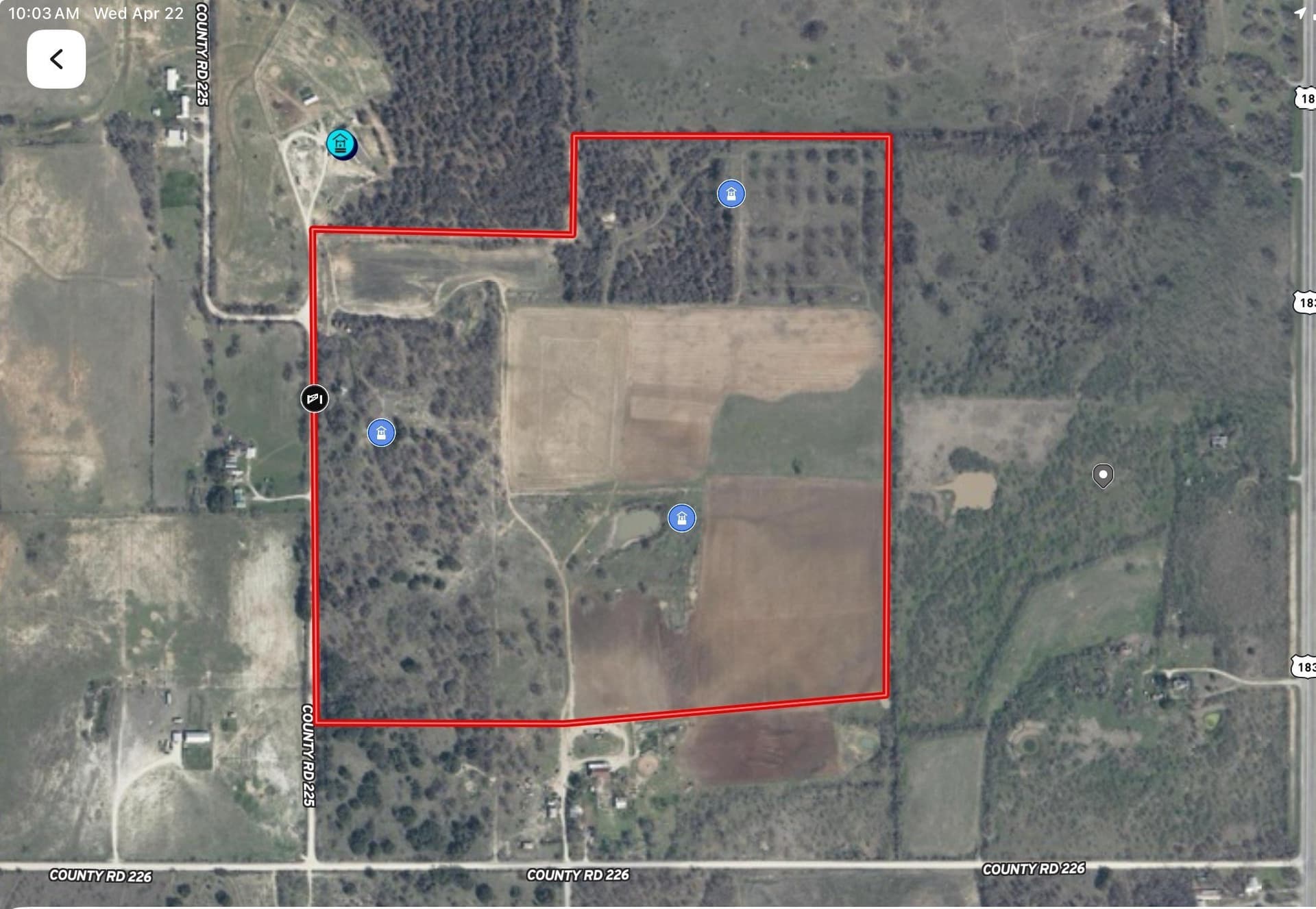 95 acres in Eastland County gallery image 2