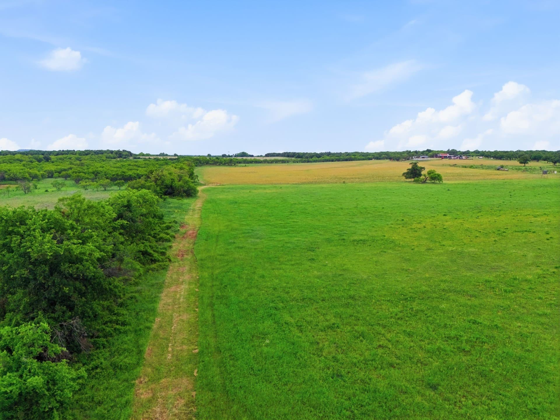 95 acres in Eastland County featured view