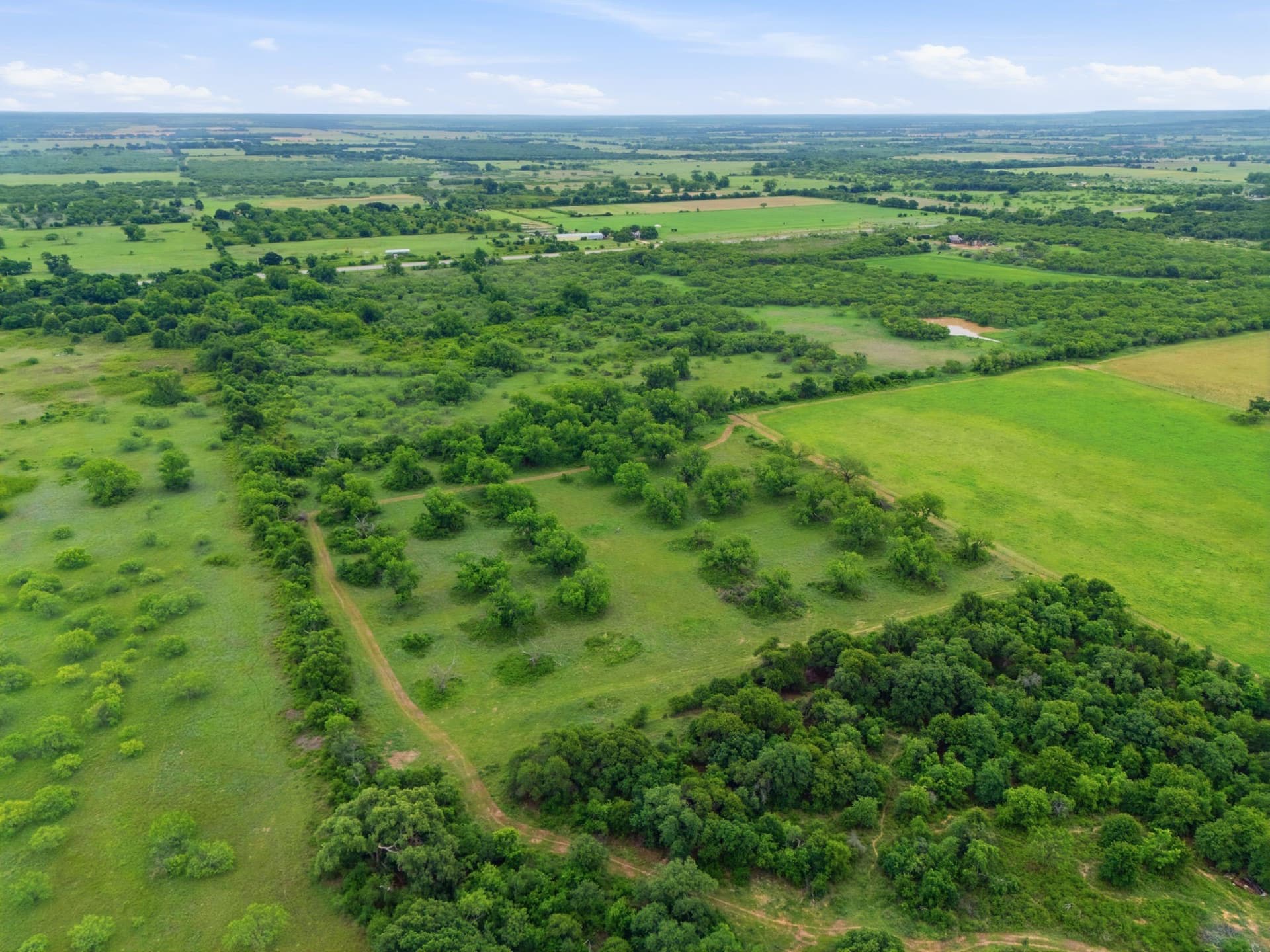 95 acres in Eastland County gallery image 3