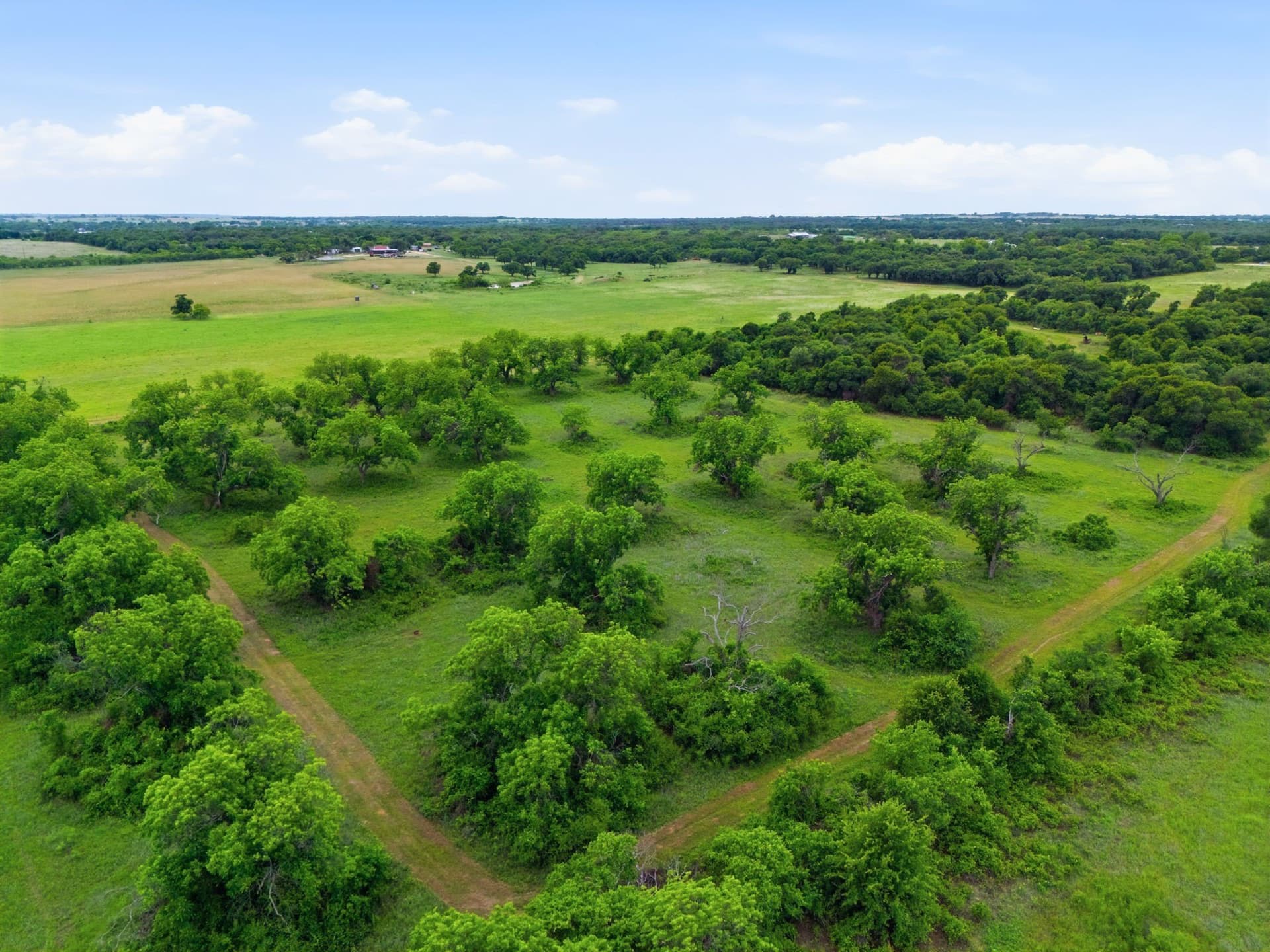 95 acres in Eastland County - photo 8