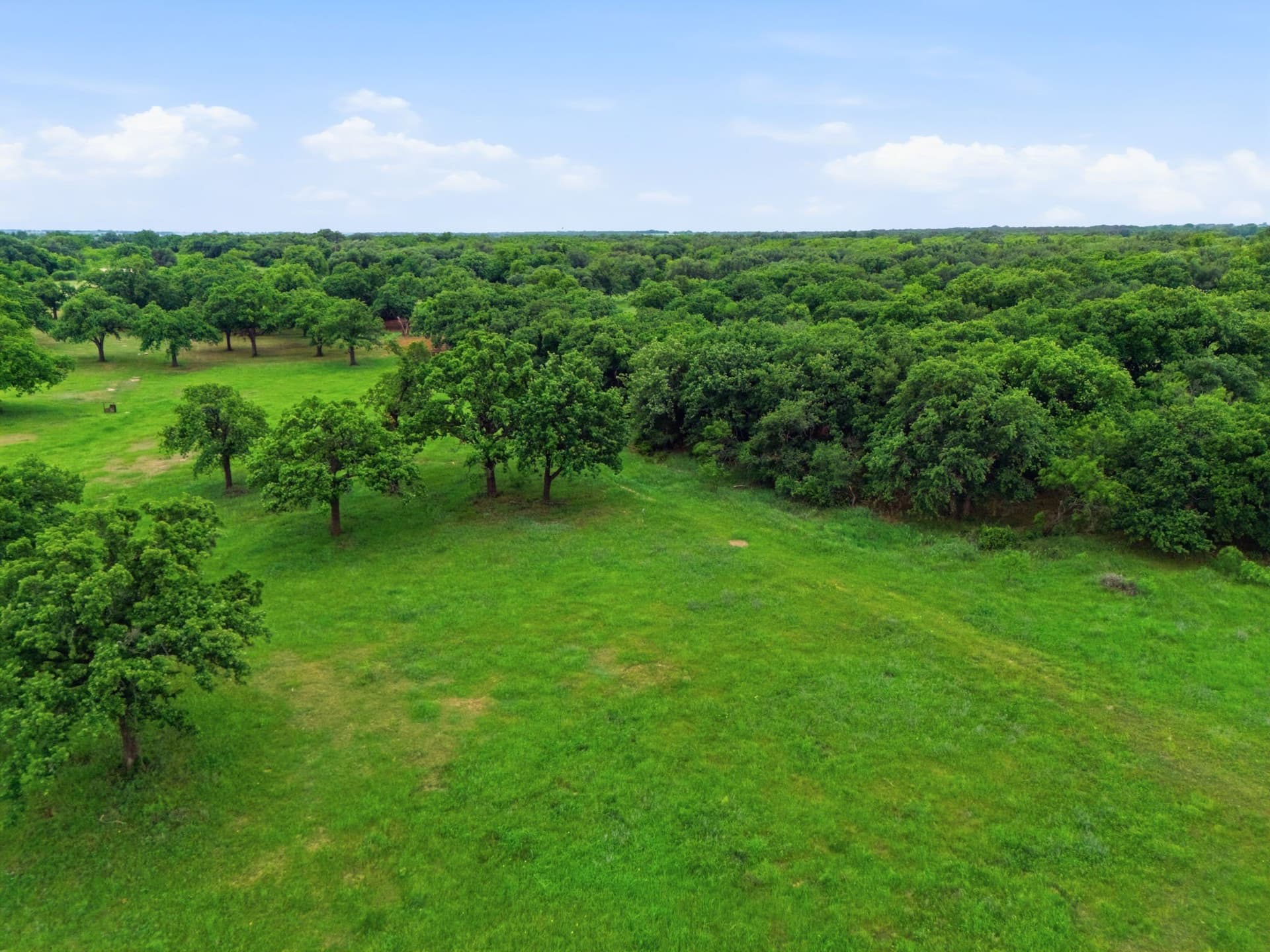 95 acres in Eastland County - photo 17