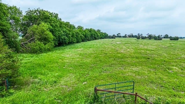 10 acres in Collin County - photo 6