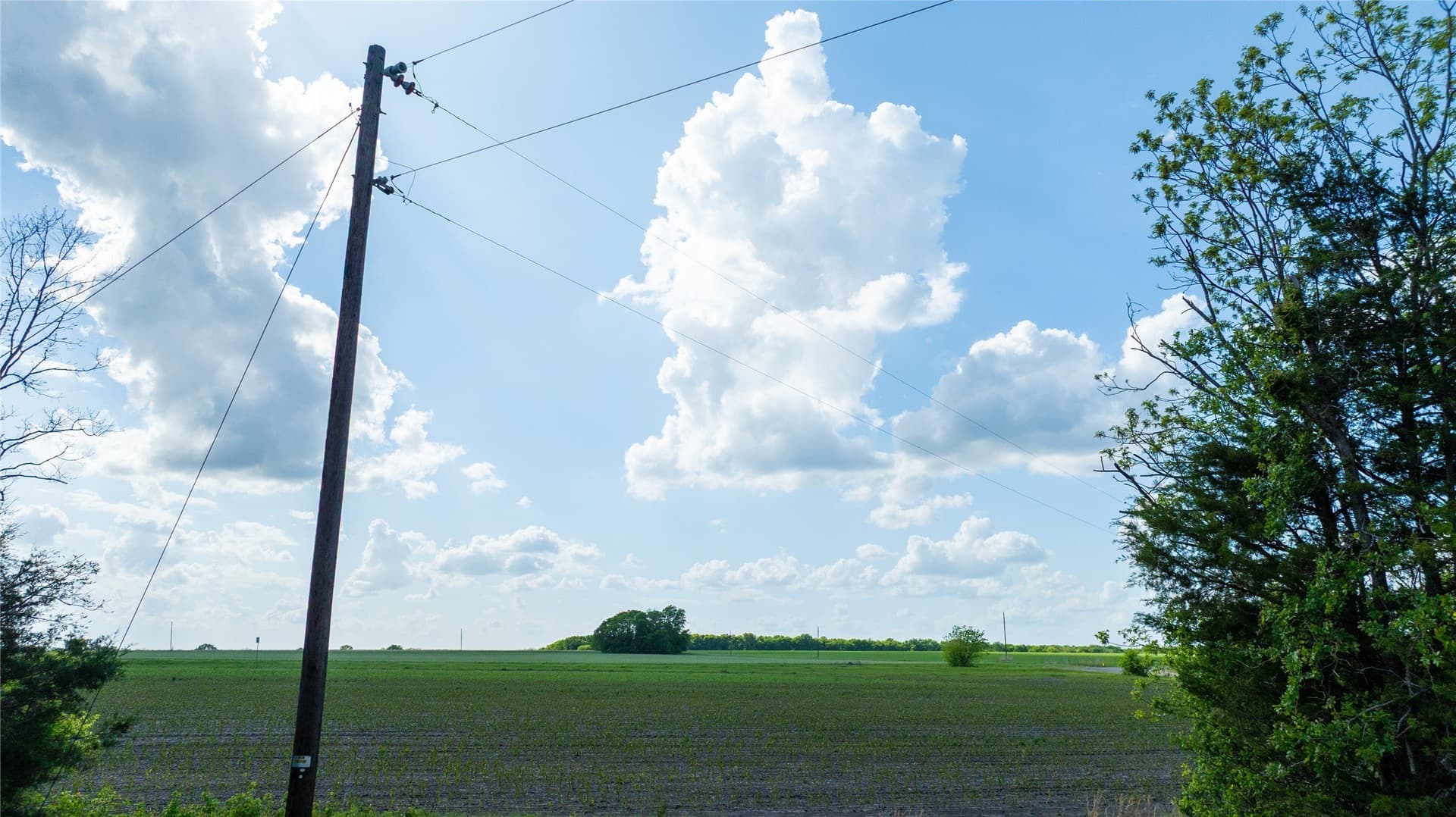 1 acres in Lamar County - photo 9