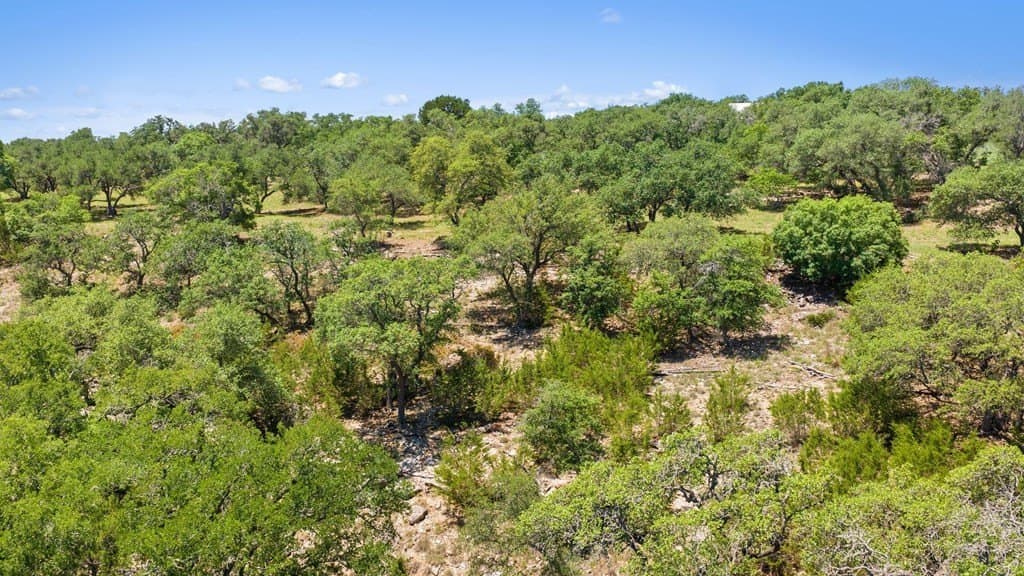 25.33 acres in Blanco County - photo 41