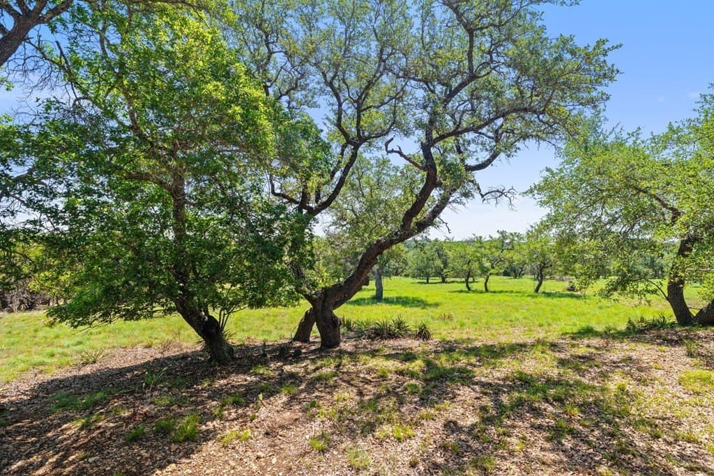 25.33 acres in Blanco County - photo 48