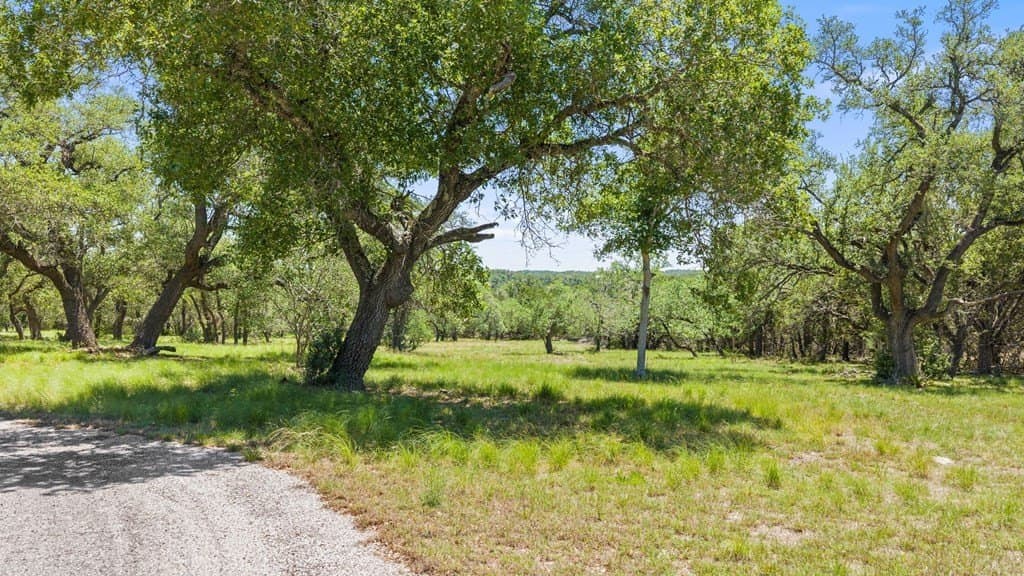 25.33 acres in Blanco County - photo 47