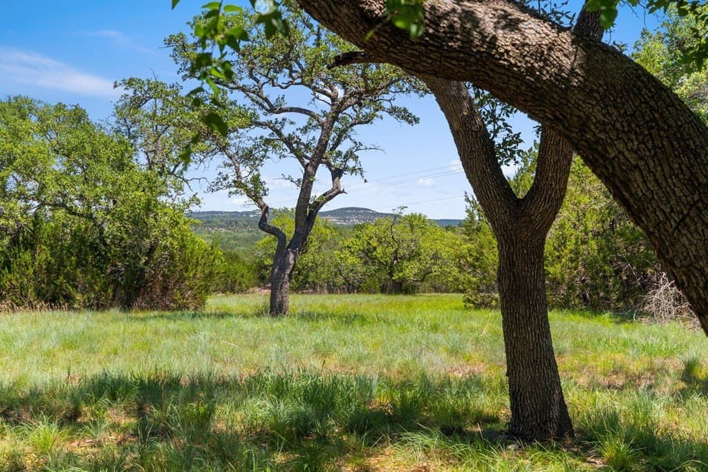 25.33 acres in Blanco County - photo 39