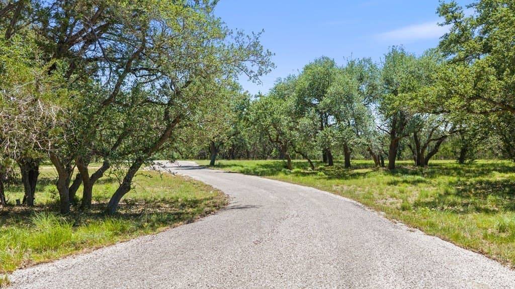 25.33 acres in Blanco County - photo 46