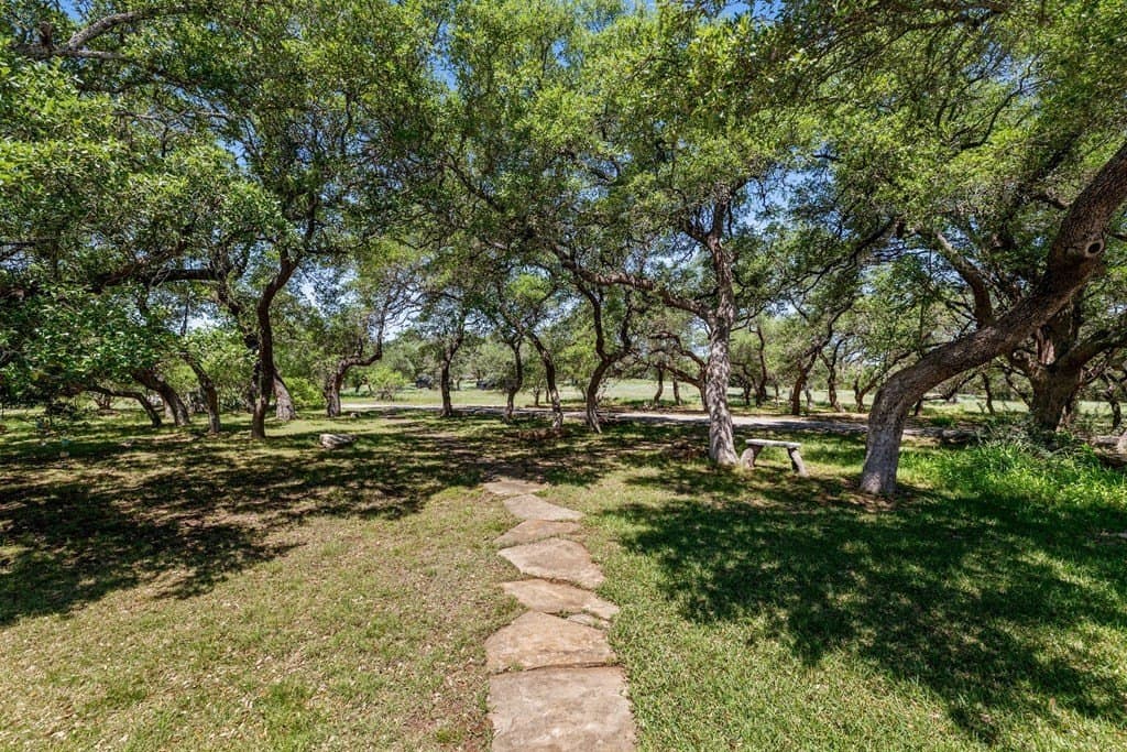 25.33 acres in Blanco County - photo 51