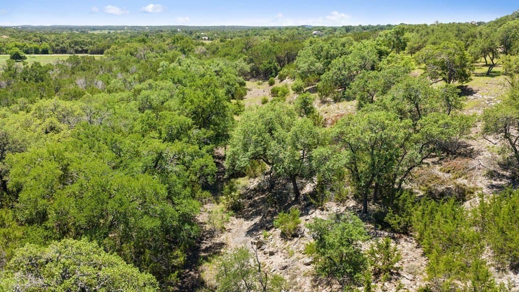 25.33 acres in Blanco County - photo 43