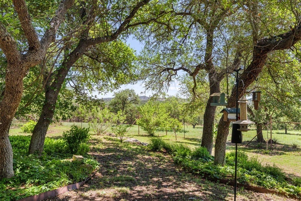 25.33 acres in Blanco County - photo 49