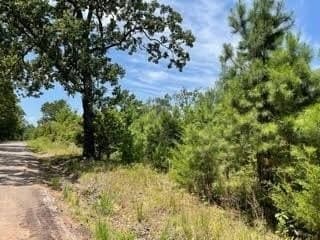 2.37 acres in Camp County - photo 2