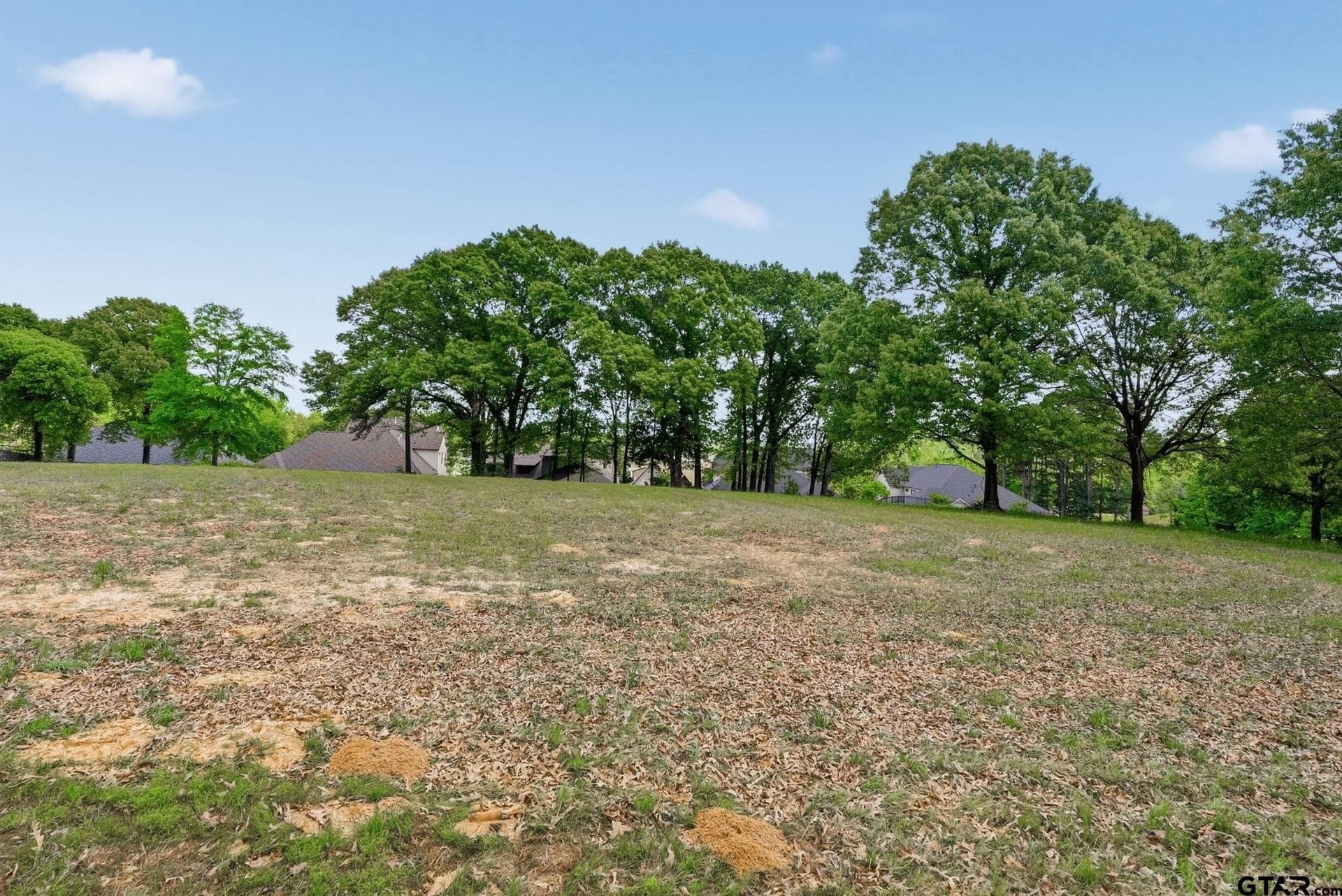 0.74 acres in Smith County gallery image 4