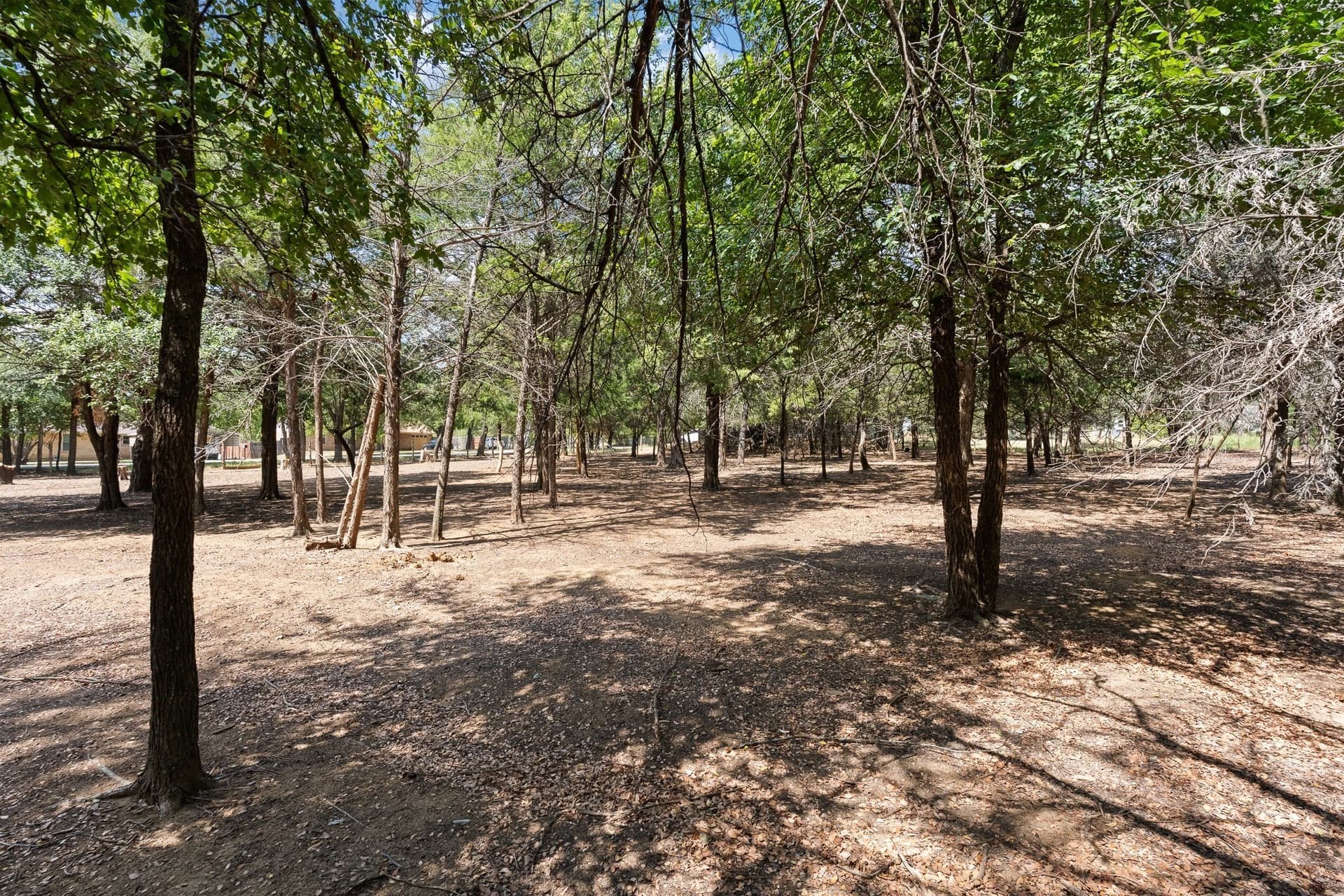 0.23 acres in Johnson County - photo 9