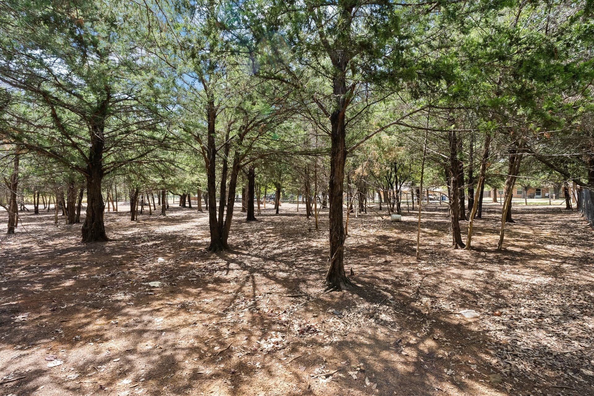 0.23 acres in Johnson County - photo 5