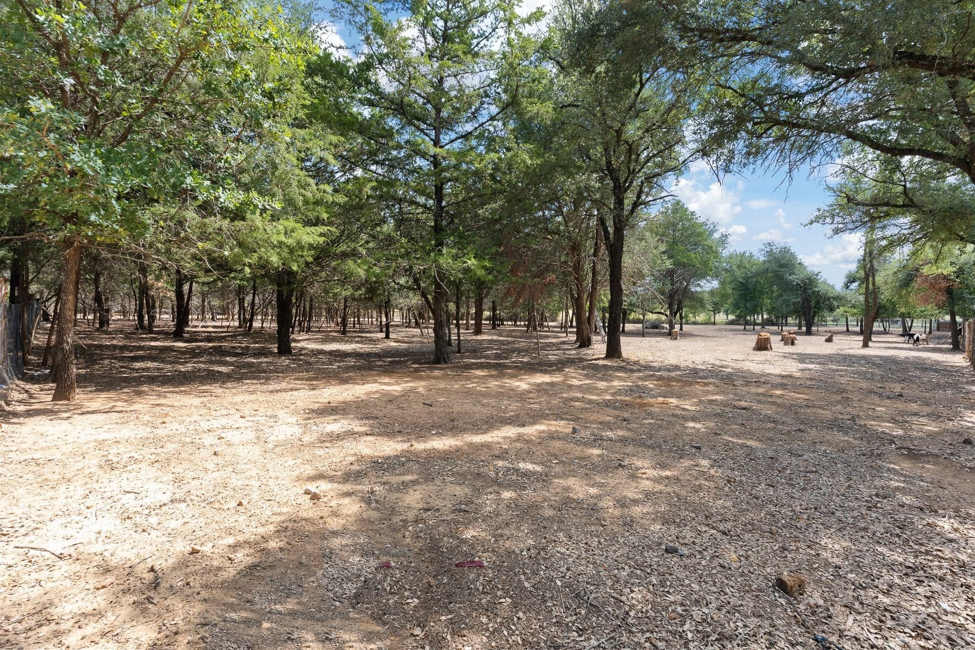0.23 acres in Johnson County - photo 4