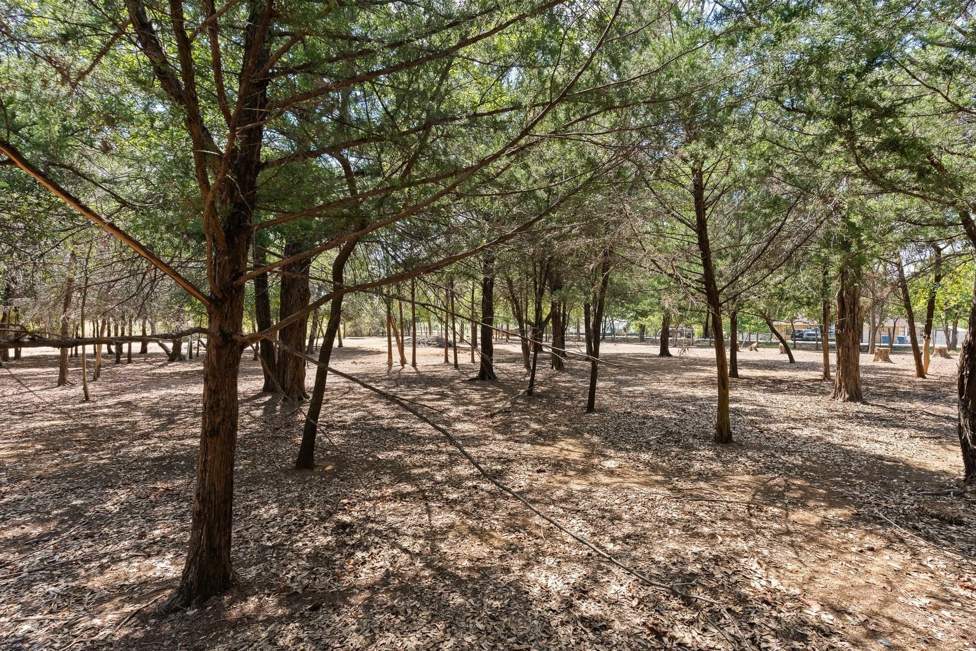0.23 acres in Johnson County - photo 8