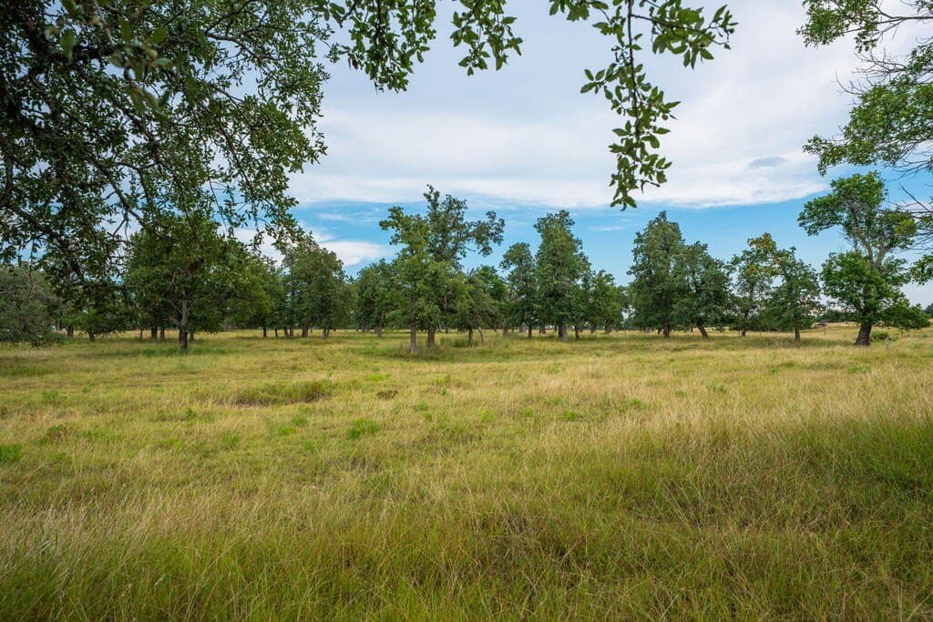 30.68 acres in Gillespie County - photo 42