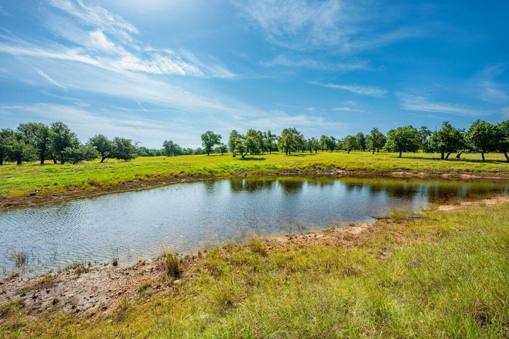 30.68 acres in Gillespie County - photo 43