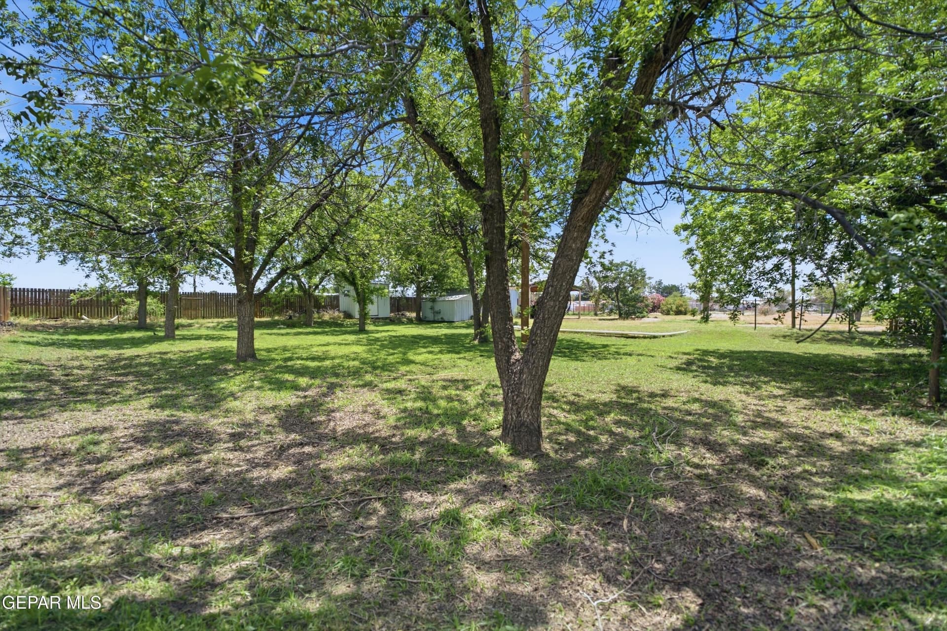 0.5 acres in El Paso County gallery image 3
