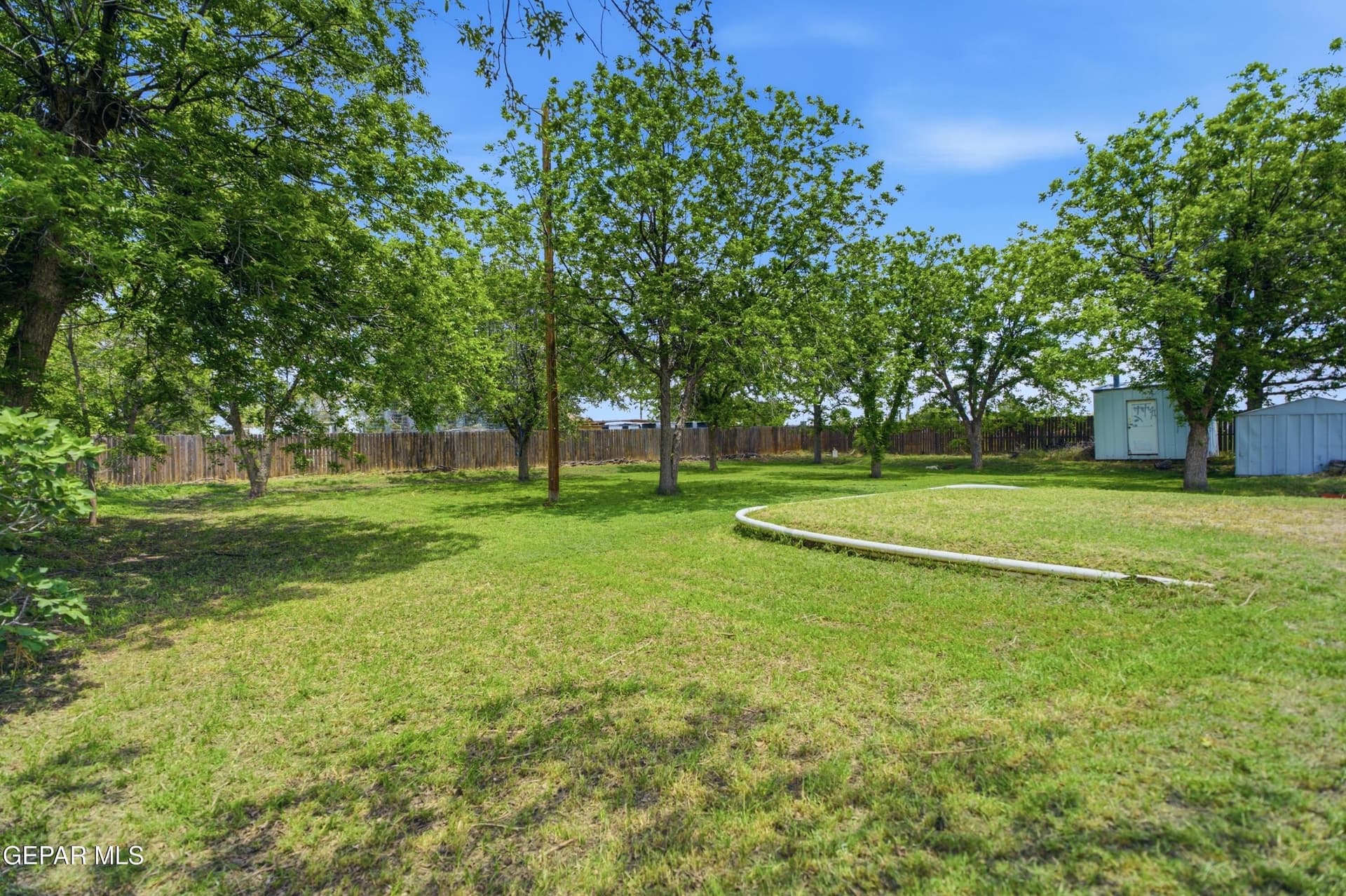 0.5 acres in El Paso County gallery image 4