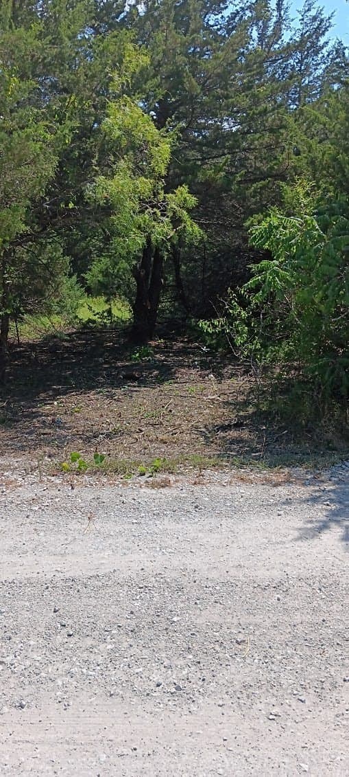 0.21 acres in Navarro County - photo 2