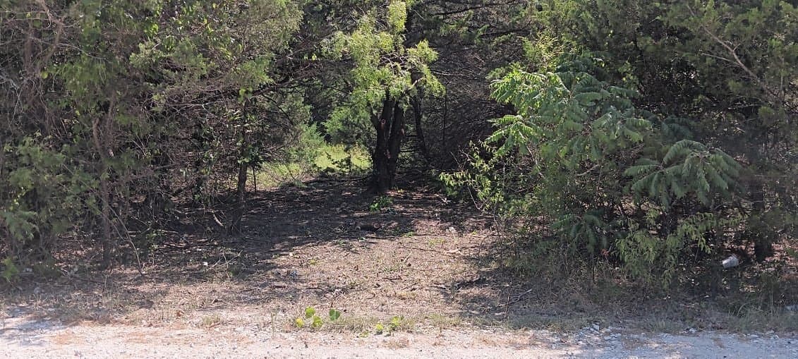 0.21 acres in Navarro County - photo 3
