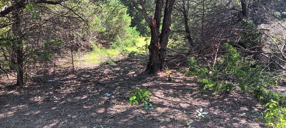 0.21 acres in Navarro County - photo 4