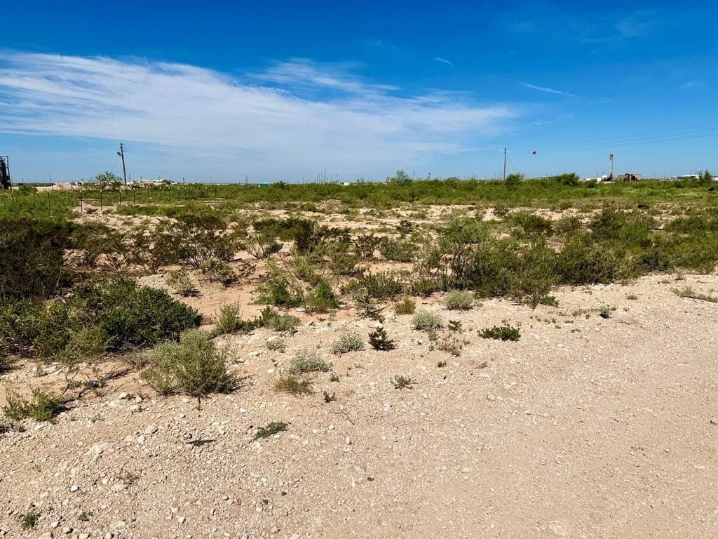 10 acres in Ector County