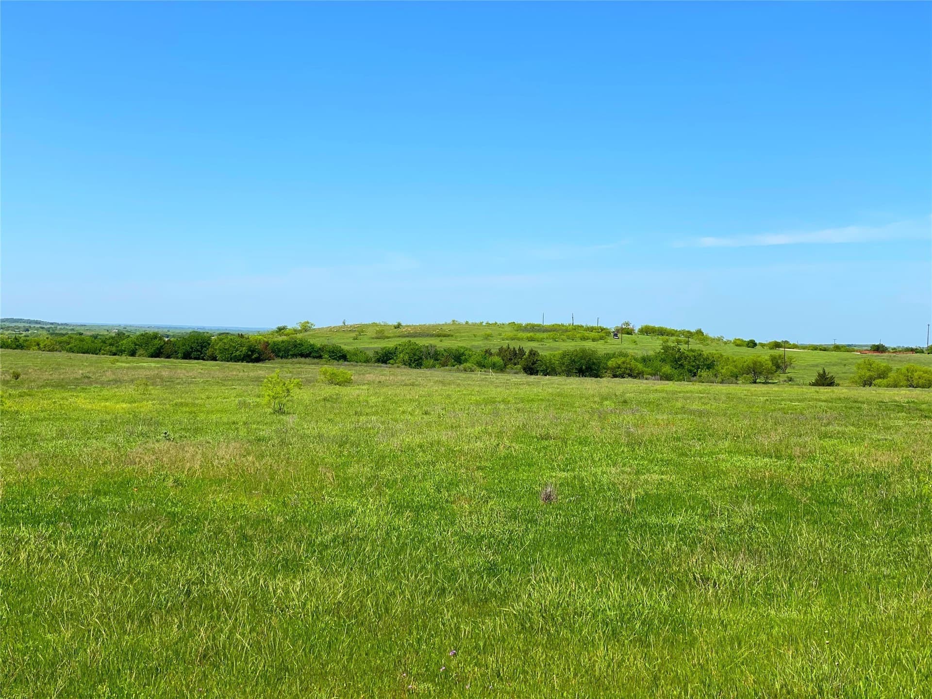 275 acres in Montague County - photo 17
