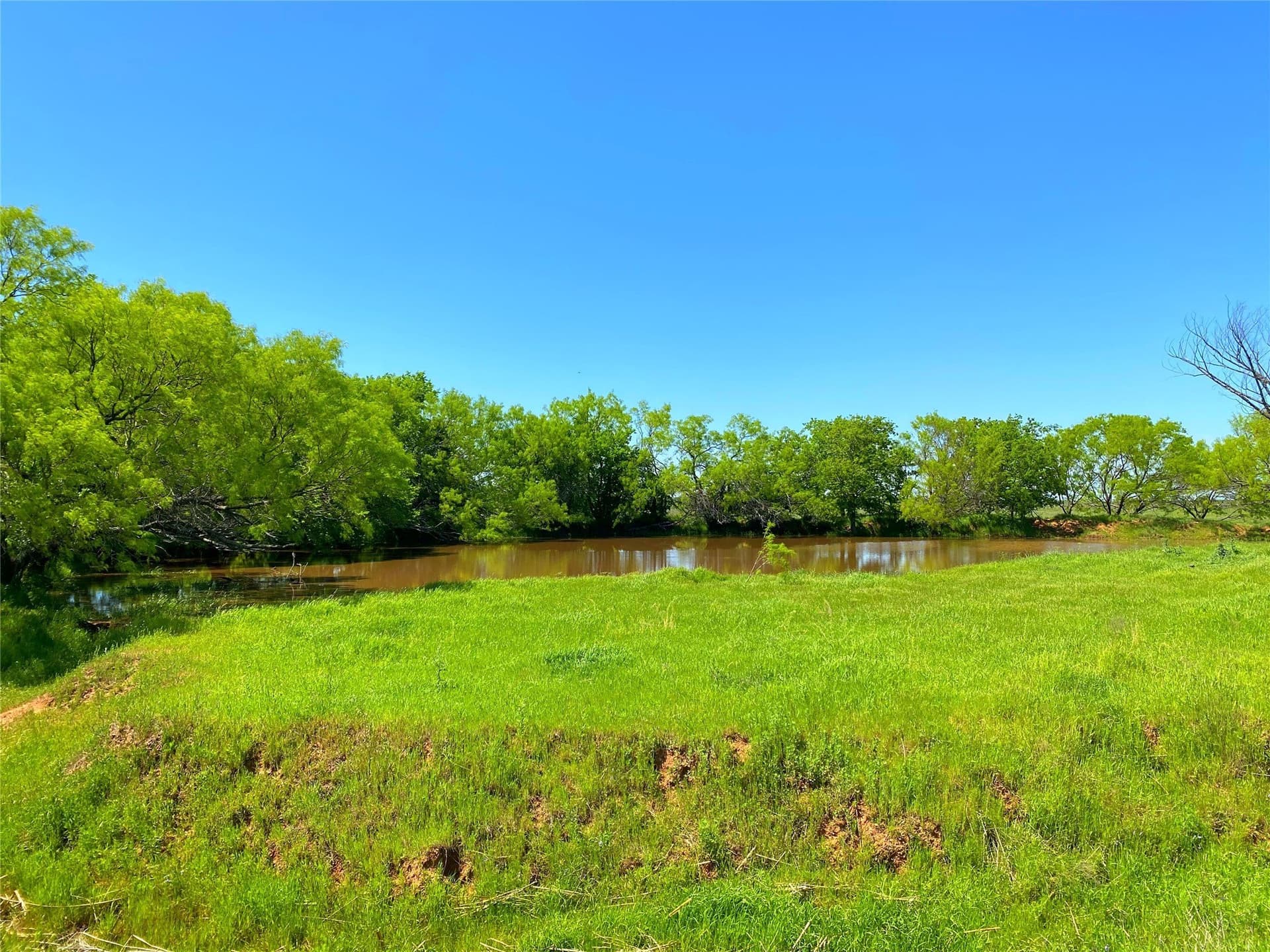 275 acres in Montague County - photo 19