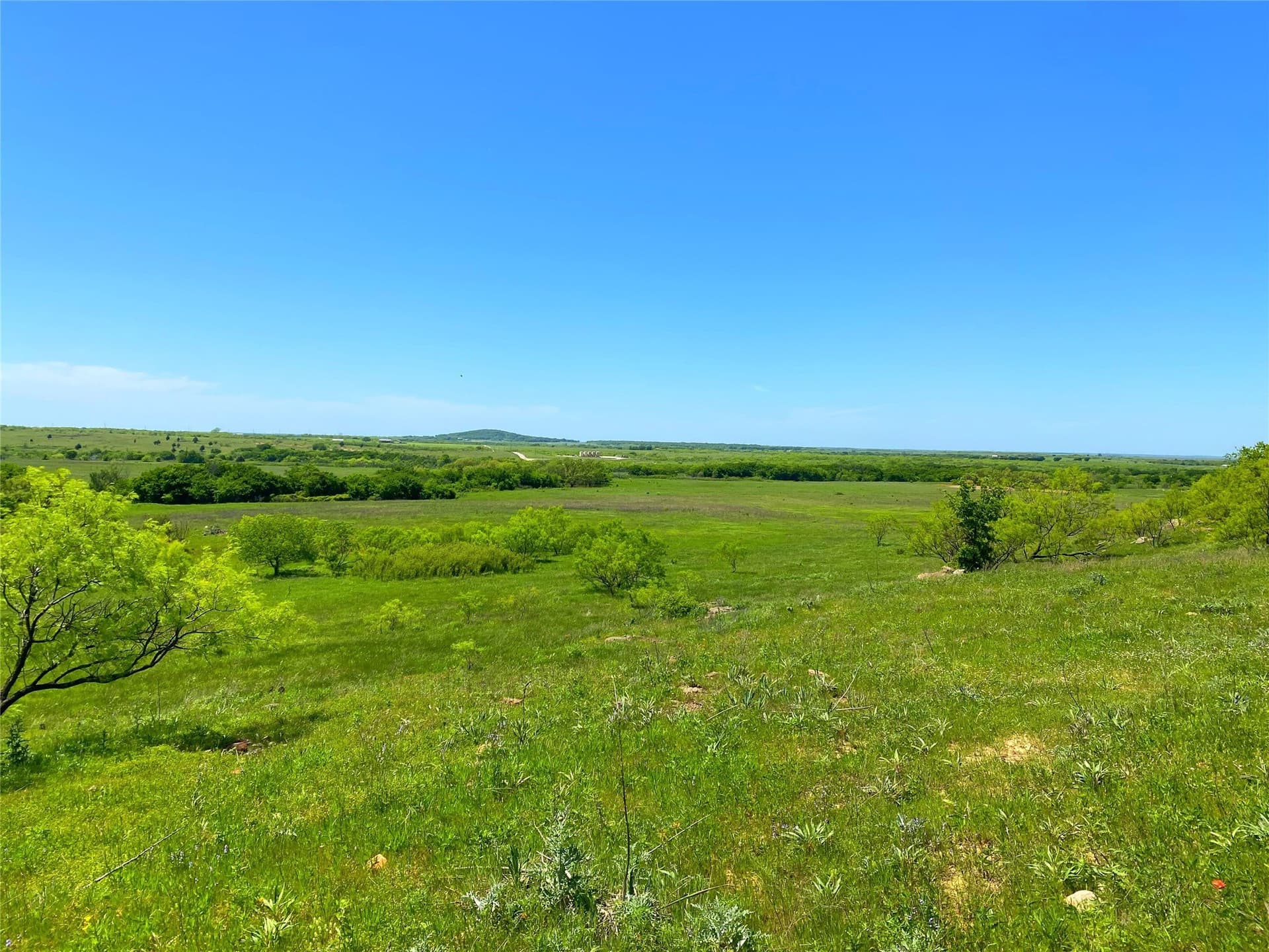 275 acres in Montague County - photo 8