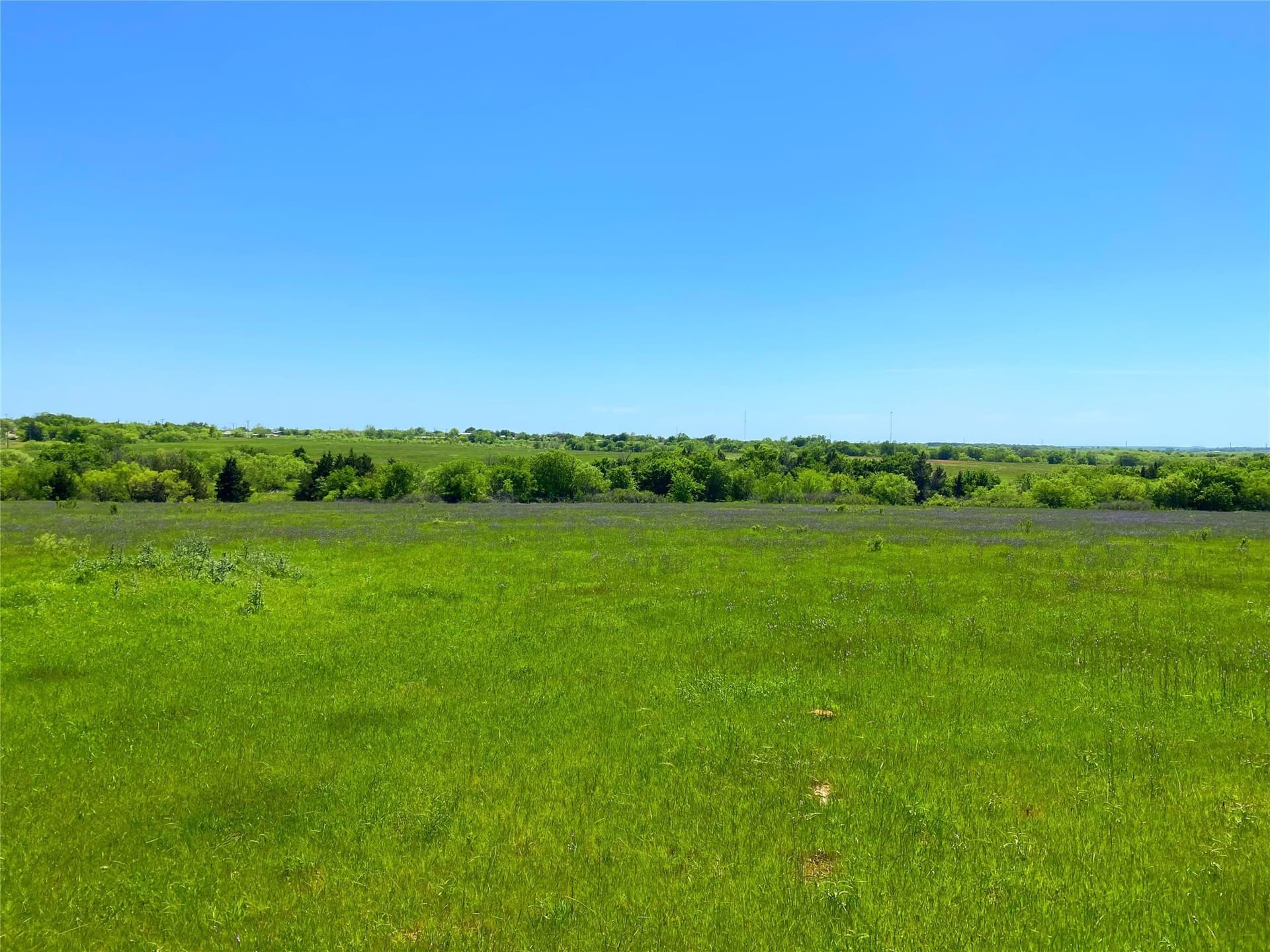 275 acres in Montague County - photo 14