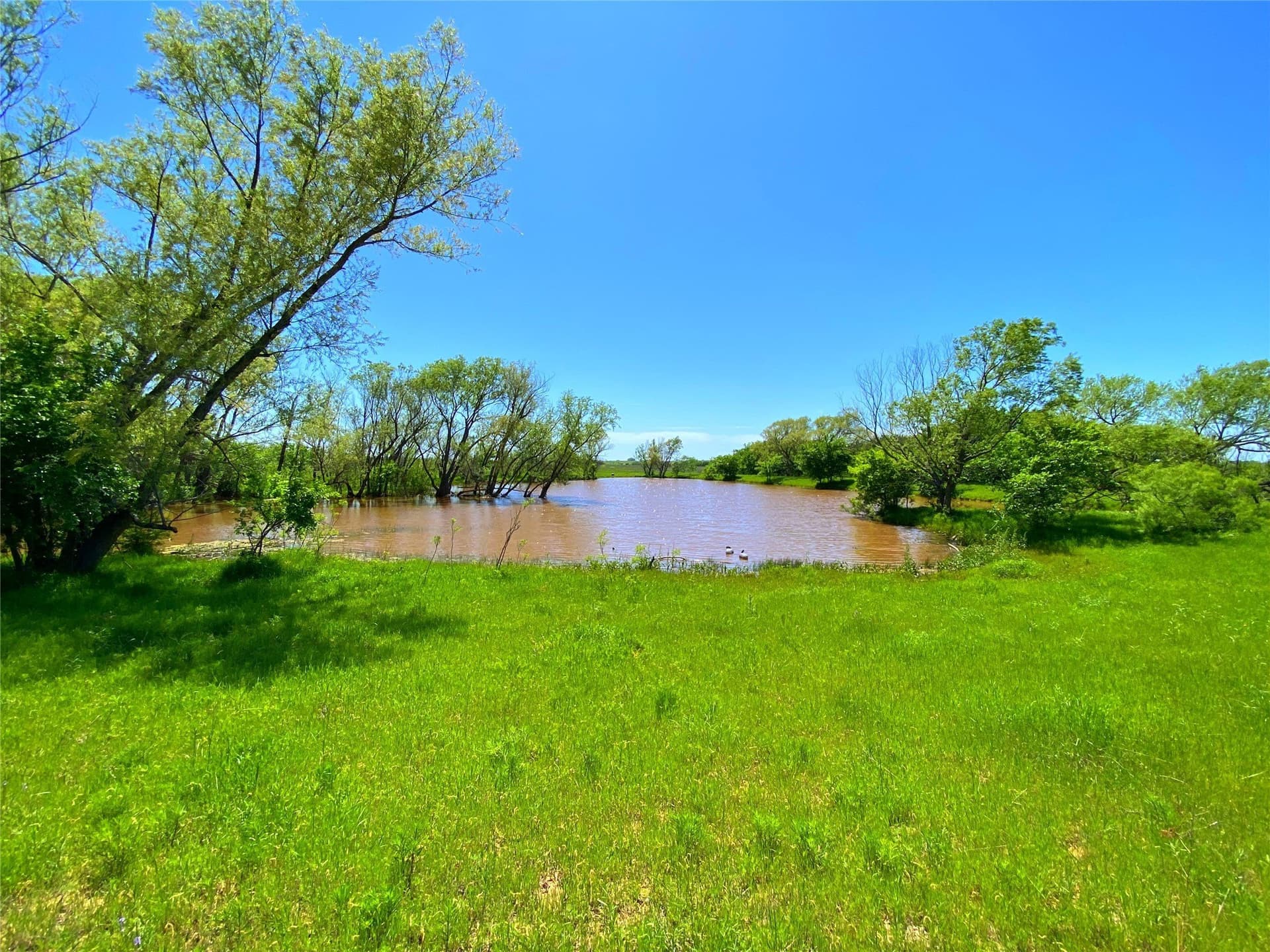 275 acres in Montague County - photo 9
