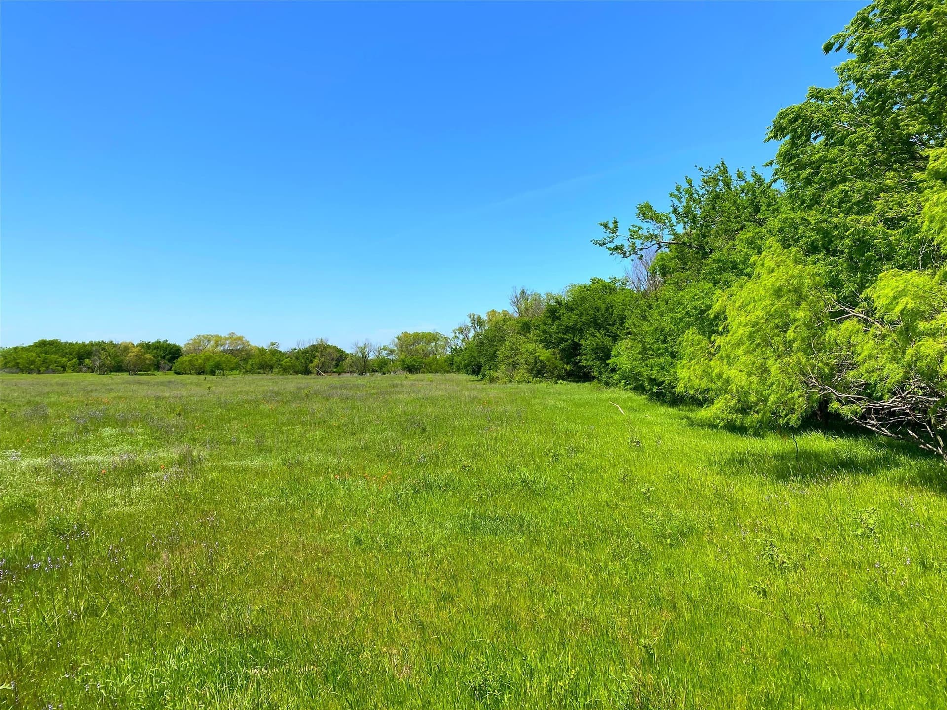 275 acres in Montague County - photo 21