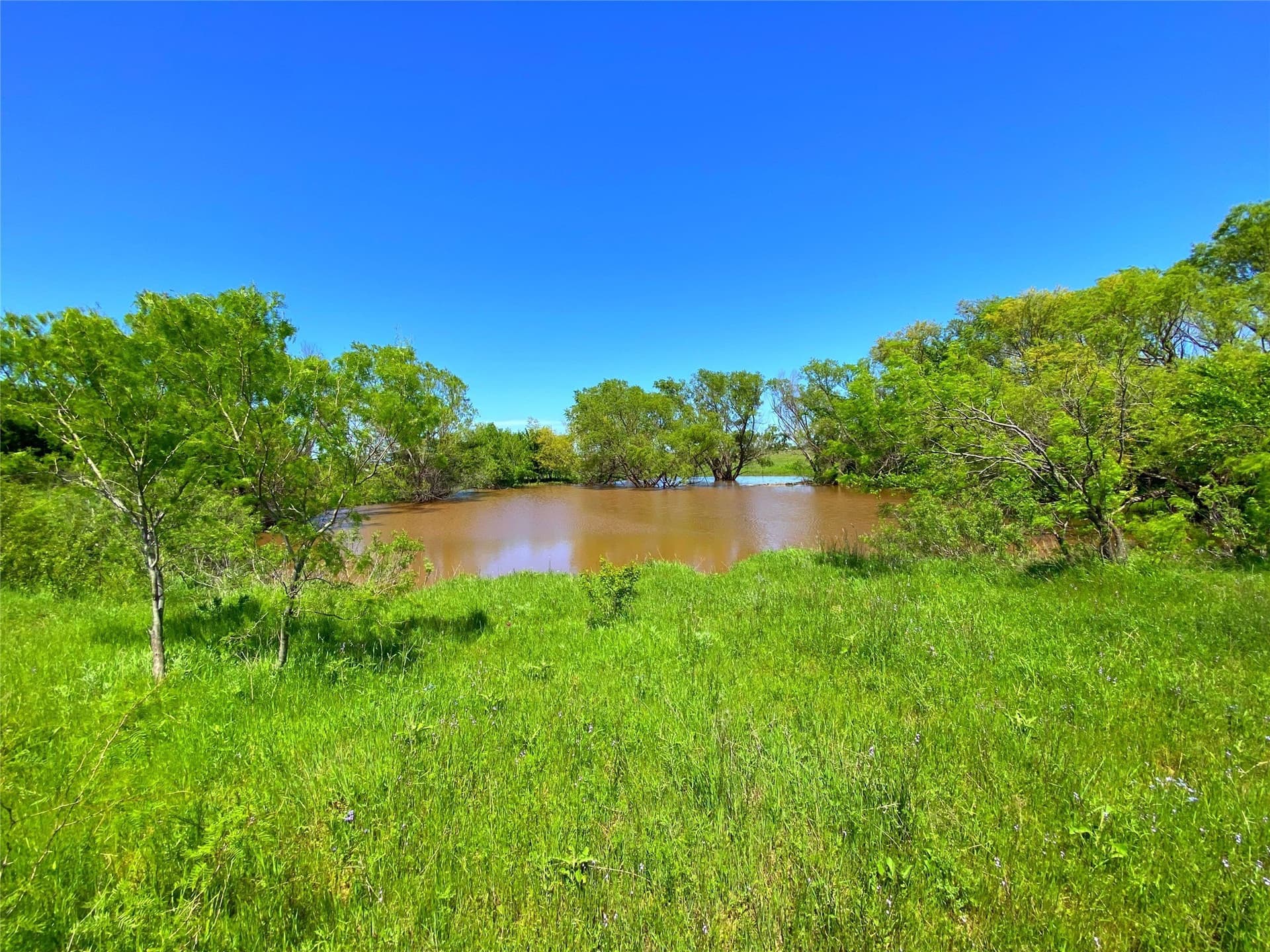 275 acres in Montague County - photo 15