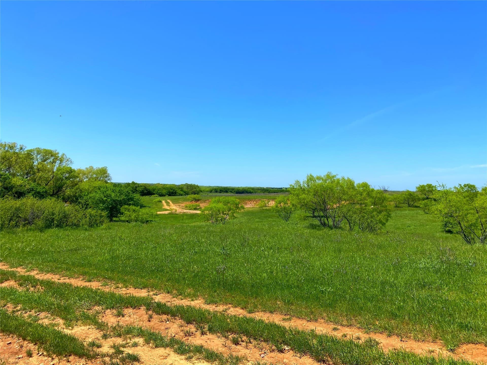 275 acres in Montague County - photo 25