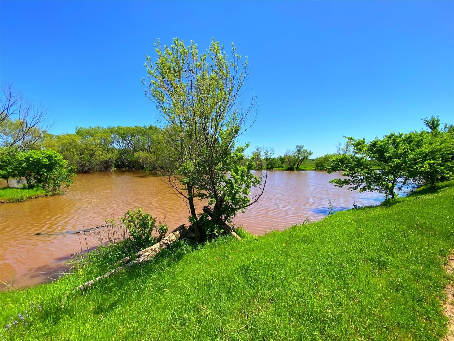 275 acres in Montague County - photo 10