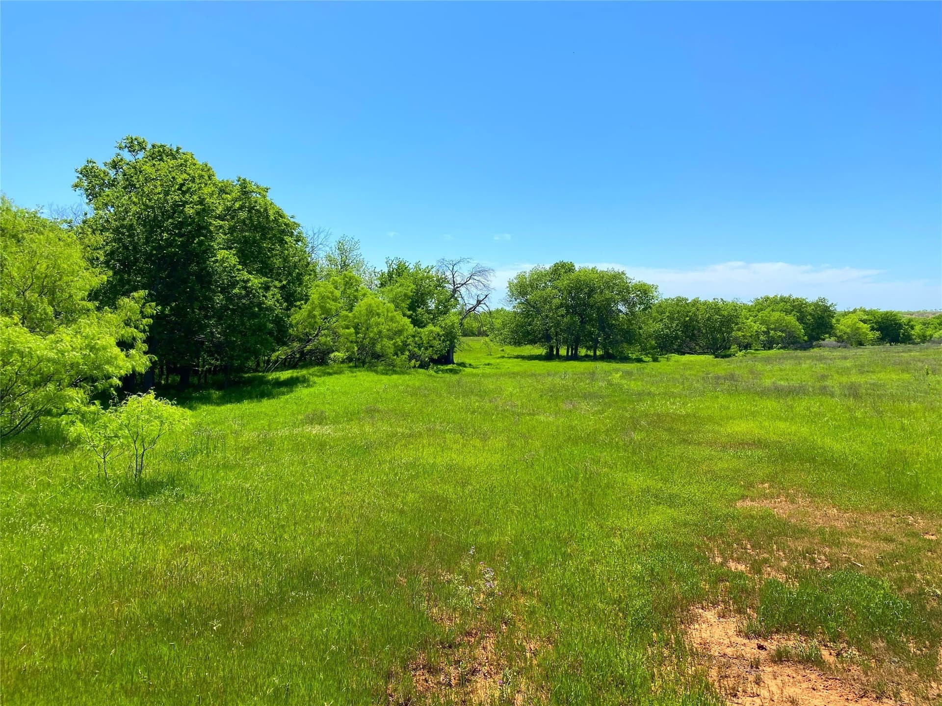 275 acres in Montague County - photo 18