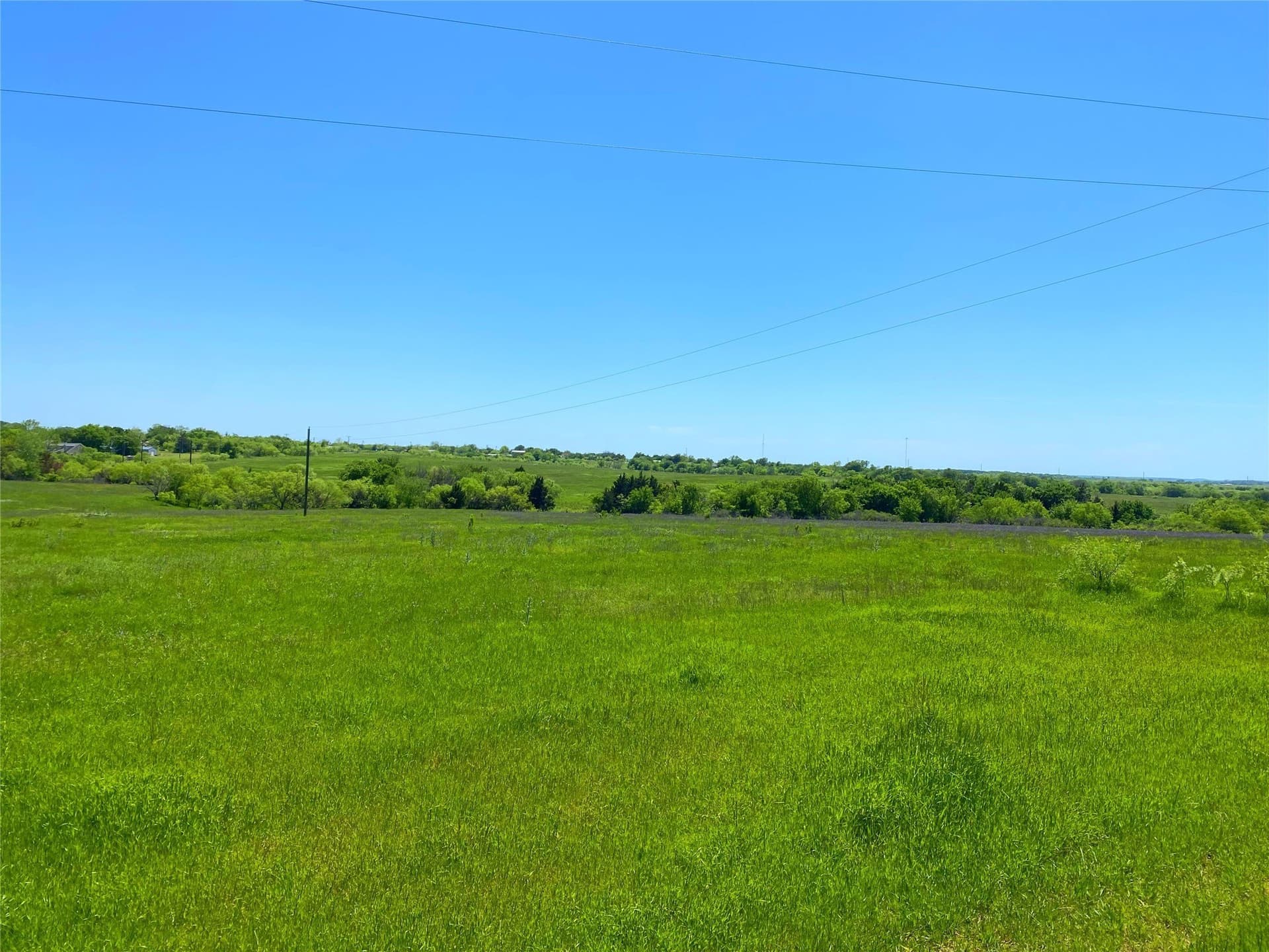 275 acres in Montague County - photo 13