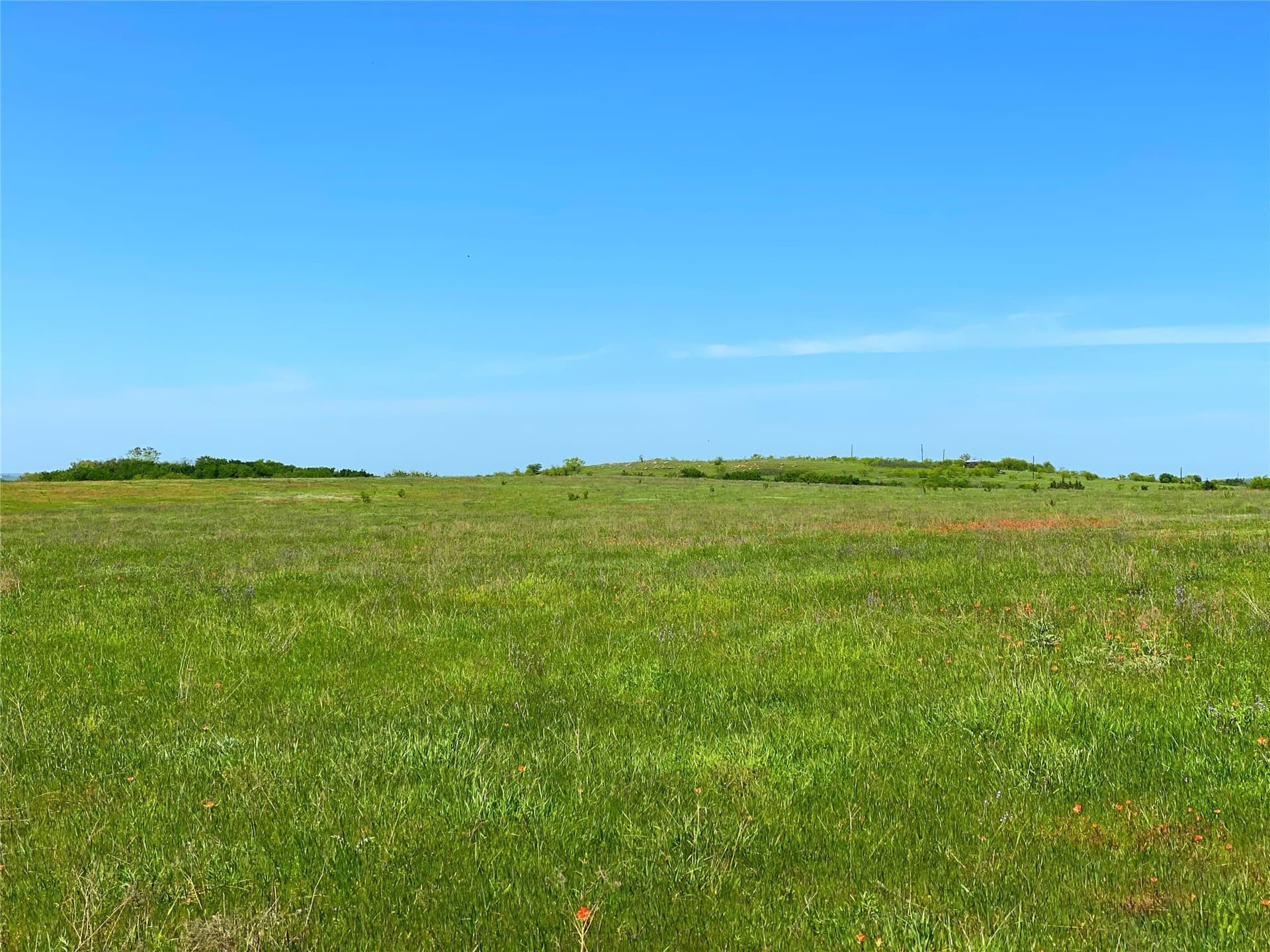 275 acres in Montague County - photo 27