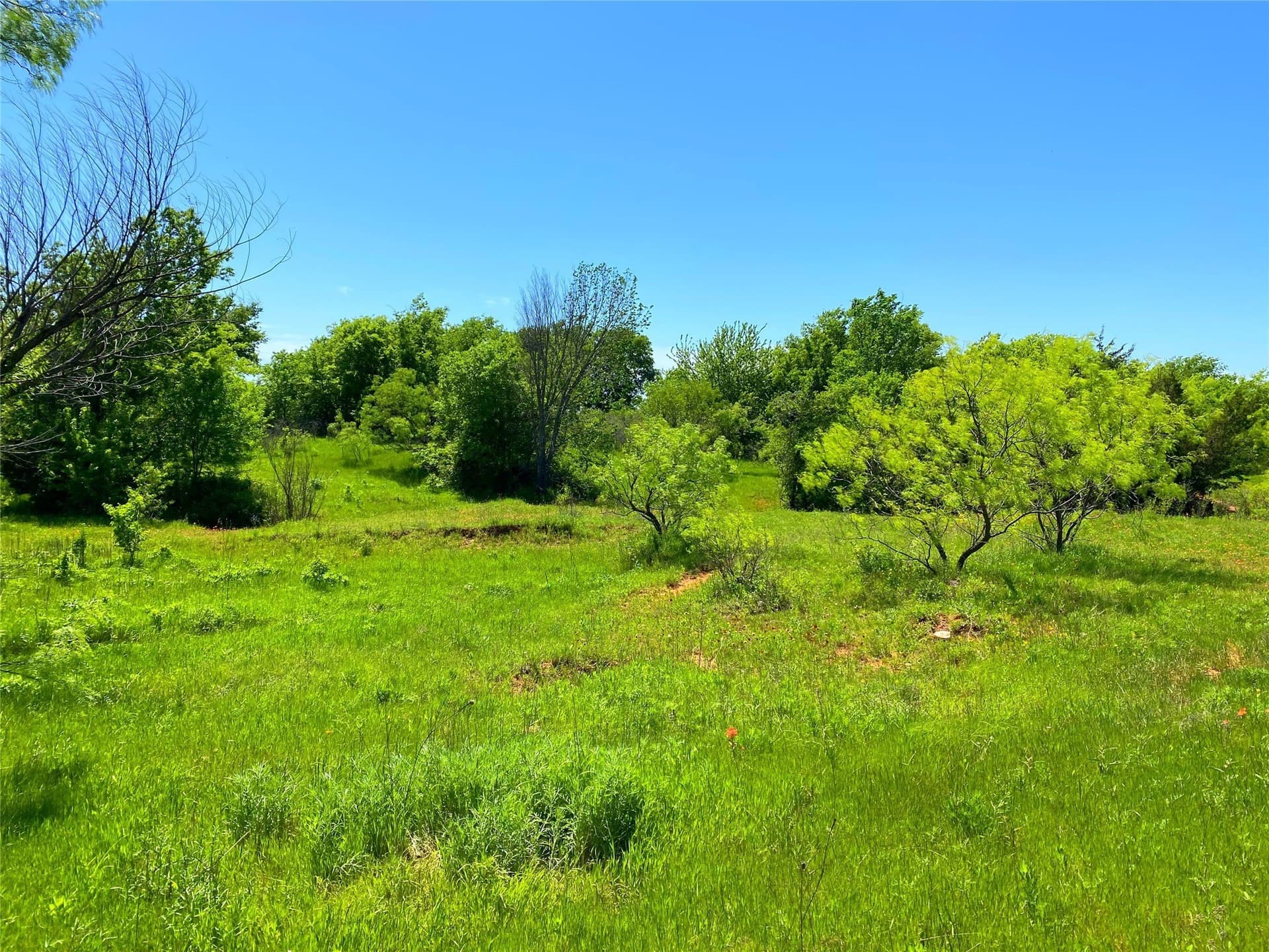 275 acres in Montague County - photo 22