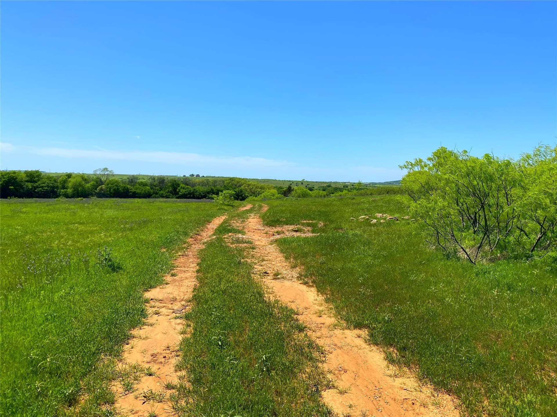 275 acres in Montague County - photo 6