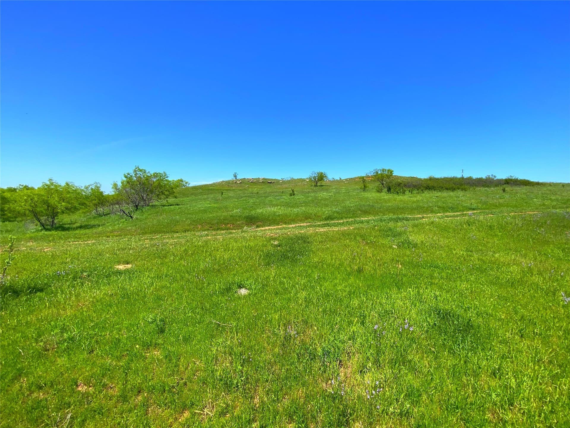 275 acres in Montague County - photo 24
