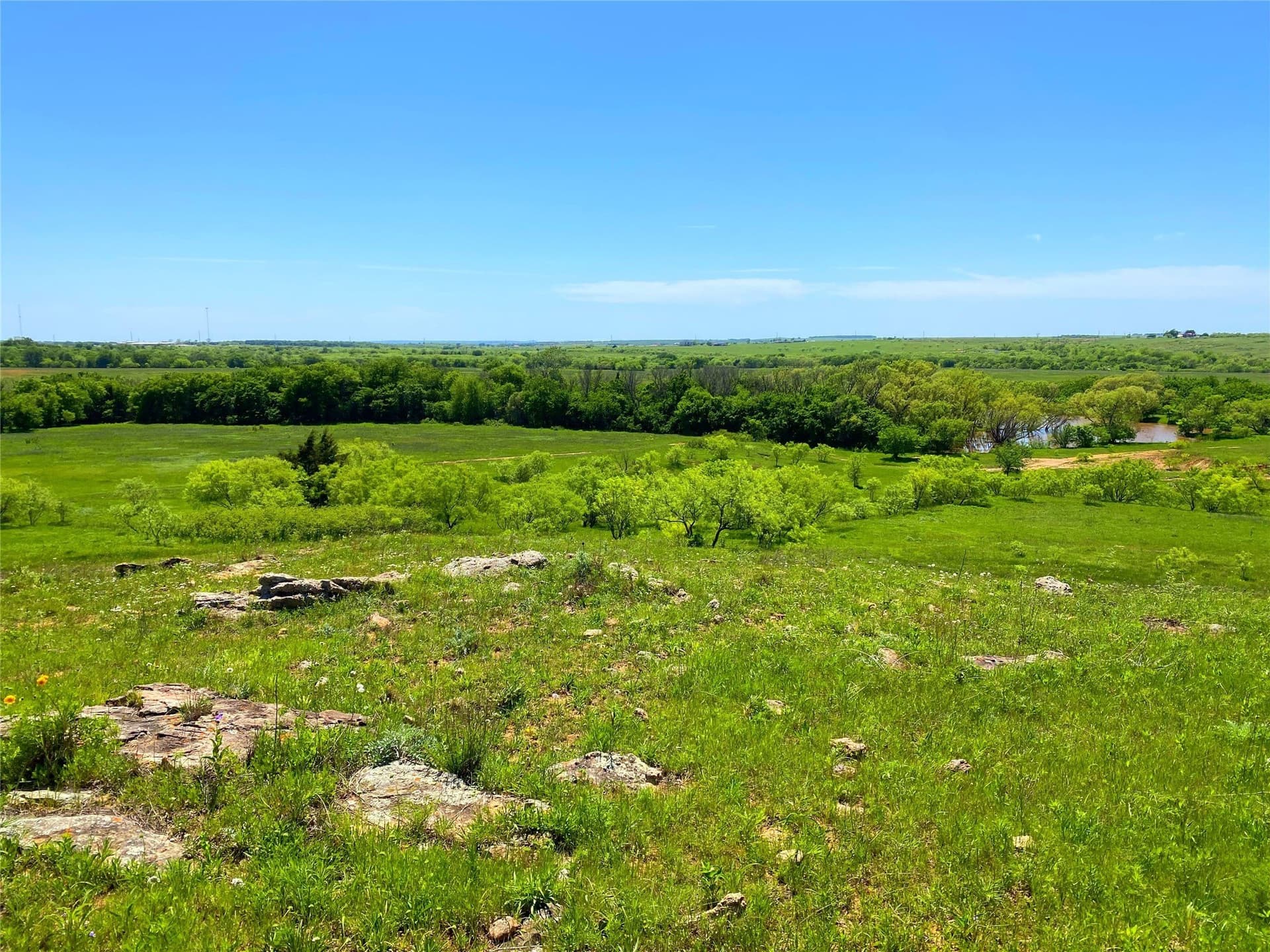 275 acres in Montague County gallery image 3