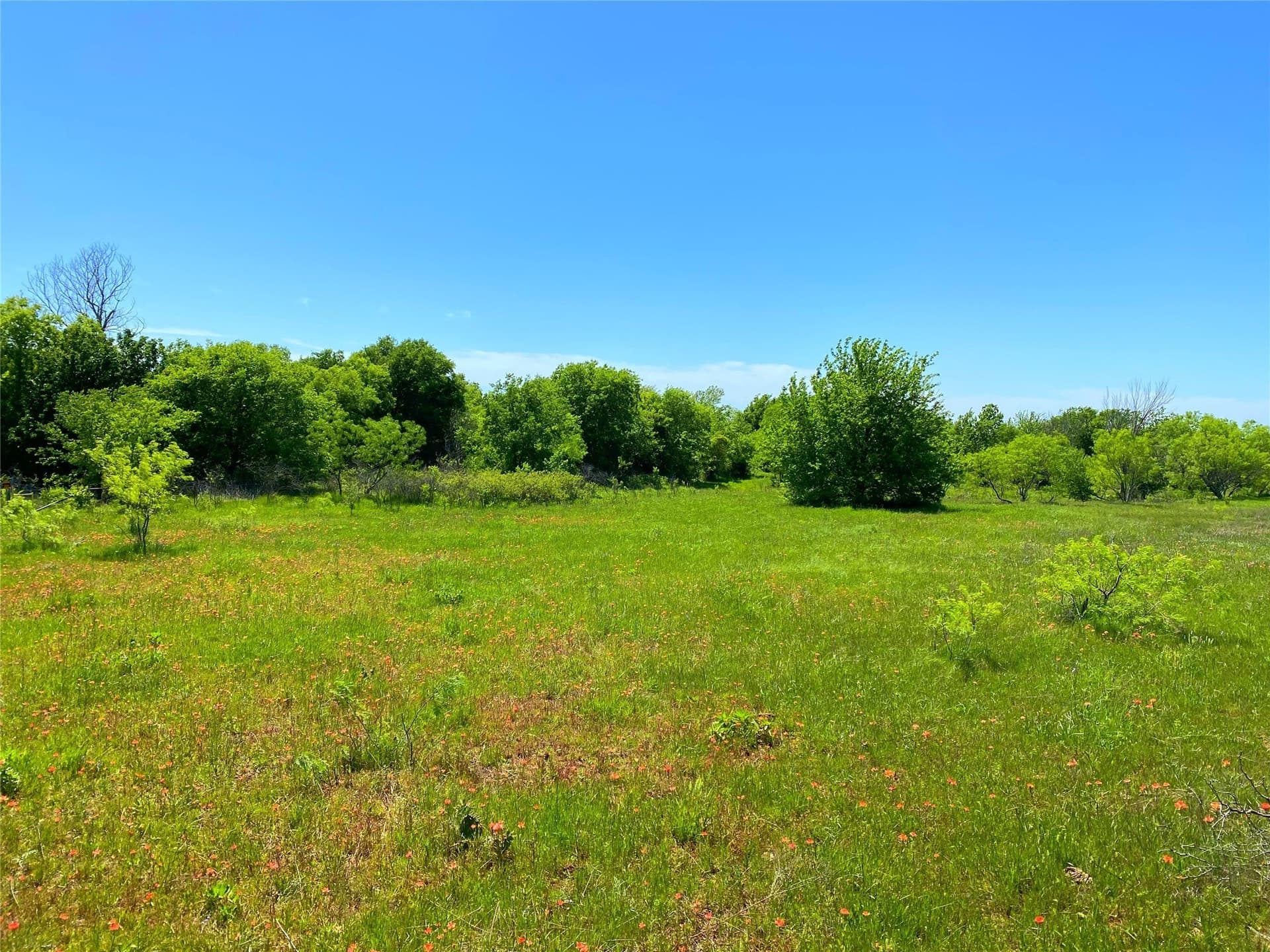 275 acres in Montague County - photo 16