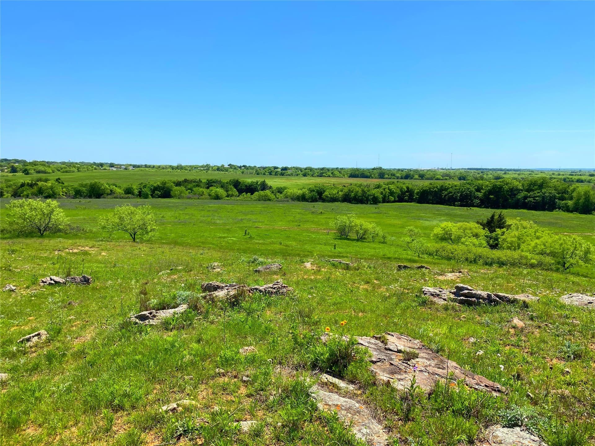 275 acres in Montague County - photo 7