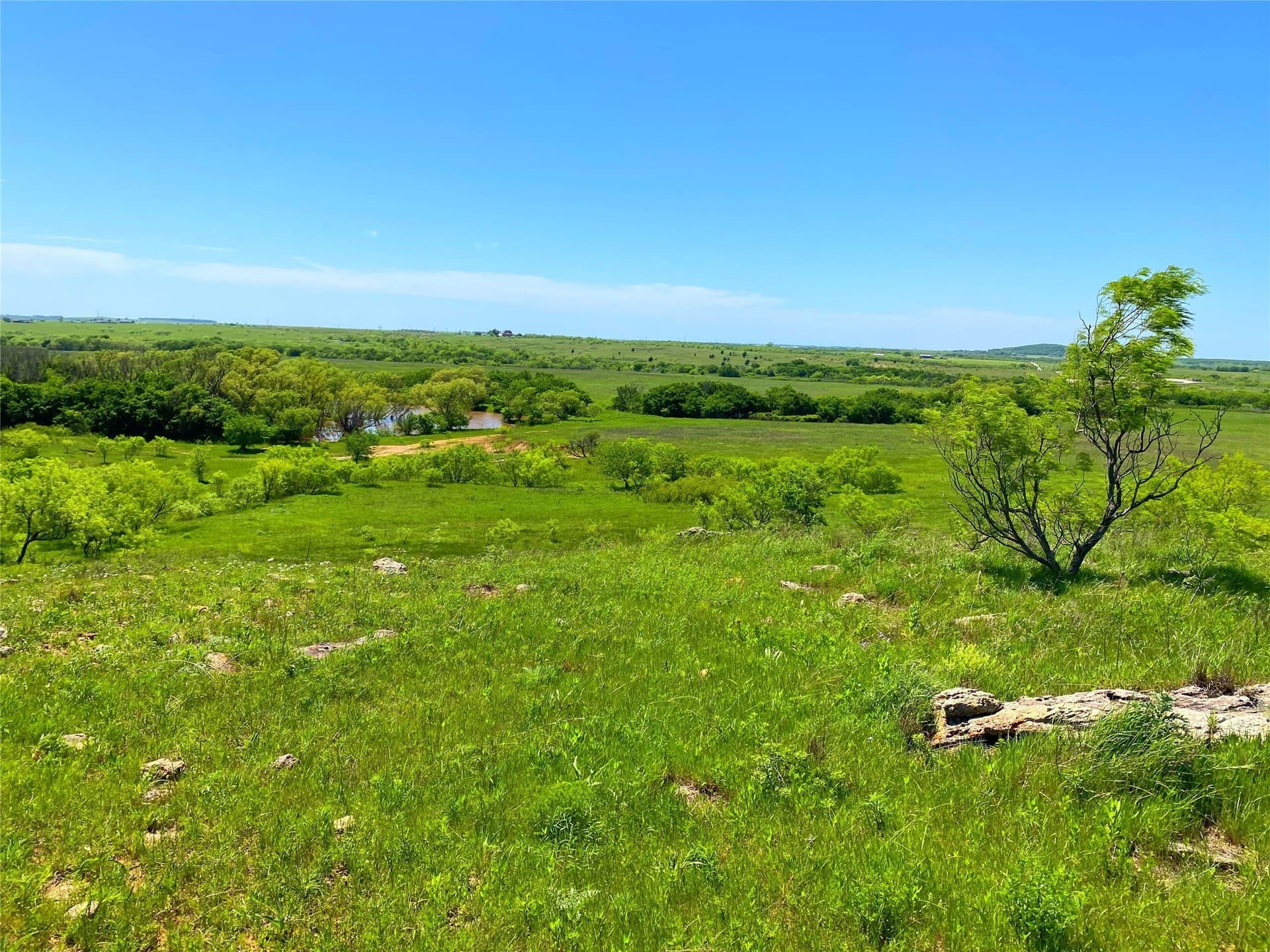 275 acres in Montague County